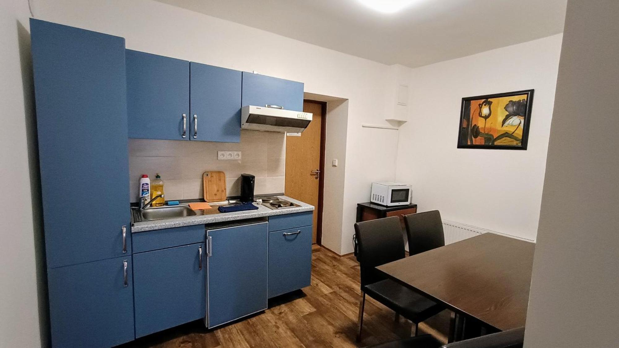 Apartments Gato Karlovy Vary Dalovice ภายนอก รูปภาพ